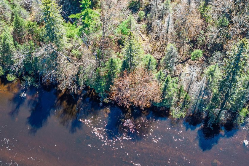 Bring your Northwoods dreams to life on this 1.12-acre buildable - photo 5