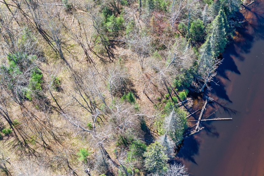 This 1.16-acre wooded parcel with 210 feet of frontage on the - photo 4