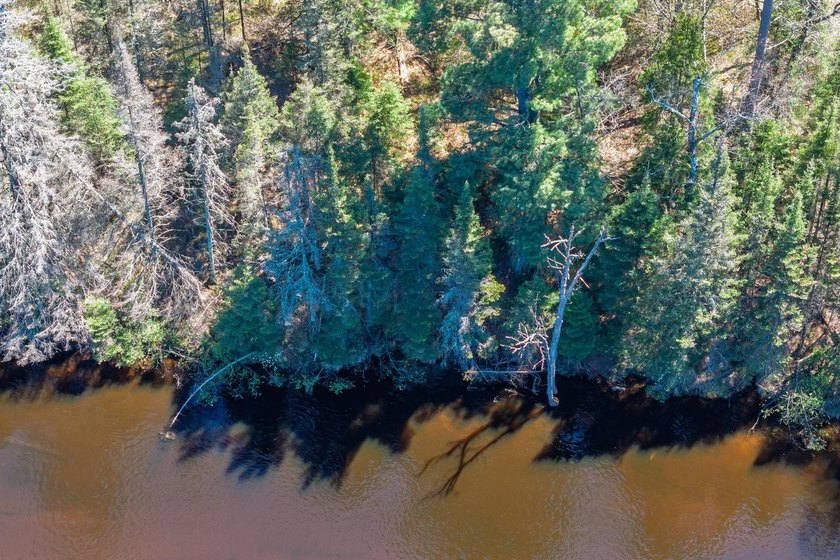 This 1.16-acre wooded parcel with 210 feet of frontage on the - photo 5
