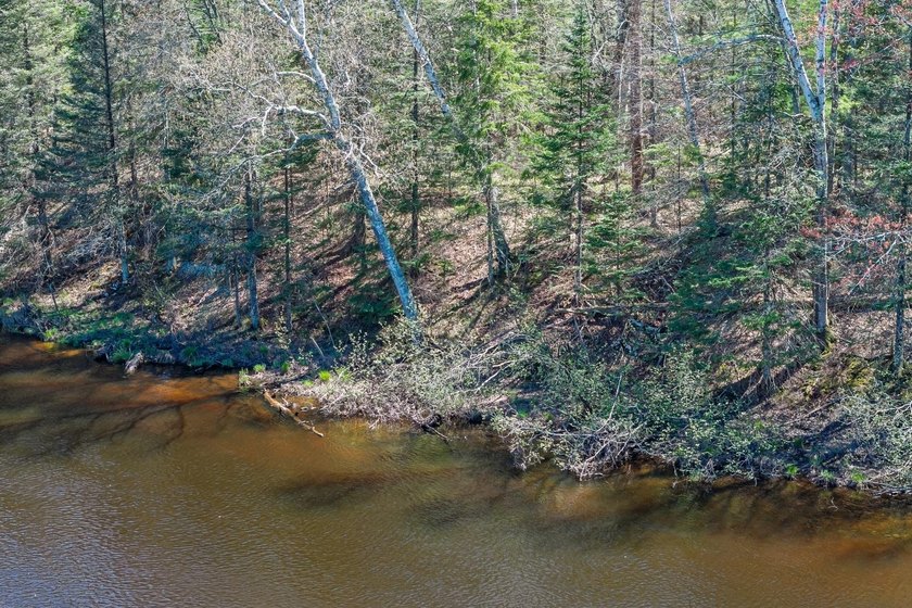 This 1.16-acre wooded parcel with 210 feet of frontage on the - photo 7