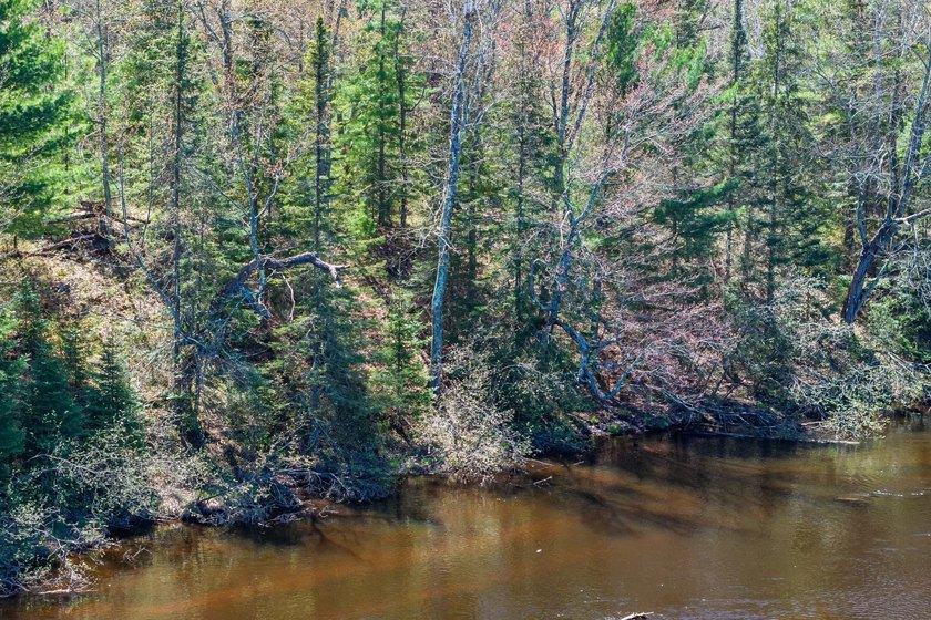 This 1.16-acre wooded parcel with 210 feet of frontage on the - photo 8