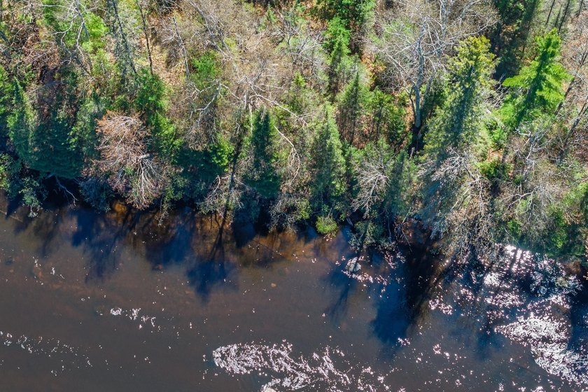 This 1.16-acre wooded parcel with 210 feet of frontage on the - photo 9