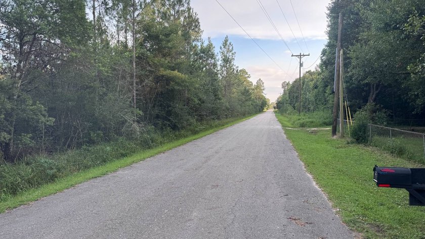 This property is a portion of a larger, heavily wooded property - photo 11