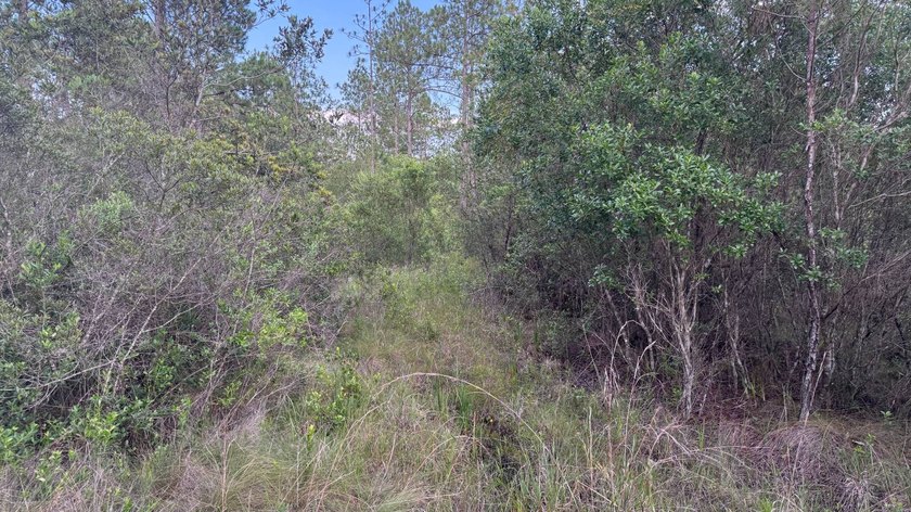 This property is a portion of a larger, heavily wooded property - photo 28