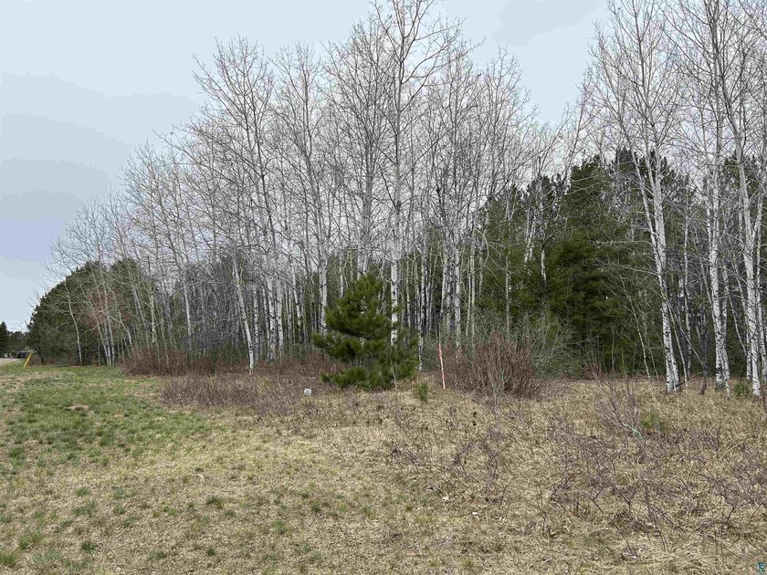 1.26 Acre building site in Iron River! Nestle your new home amid - photo 4