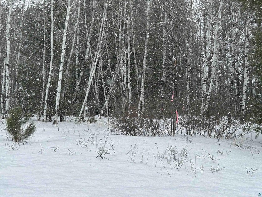 1.26 Acre building site in Iron River! Nestle your new home amid - photo 5