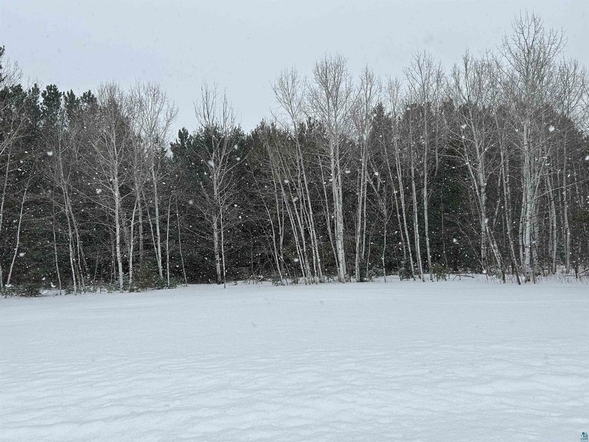 1.26 Acre building site in Iron River! Nestle your new home amid - photo 6