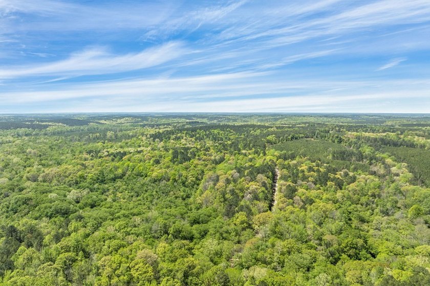 Discover the perfect blend of seclusion, natural beauty and - photo 12