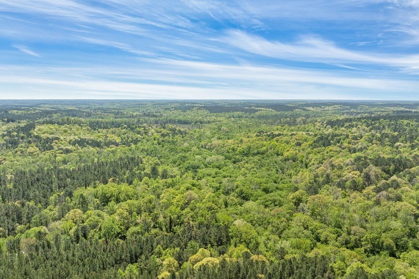 Discover the perfect blend of seclusion, natural beauty and - photo 13