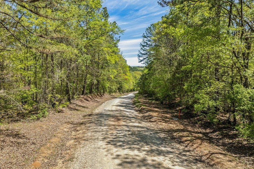 Discover the perfect blend of seclusion, natural beauty and - photo 16
