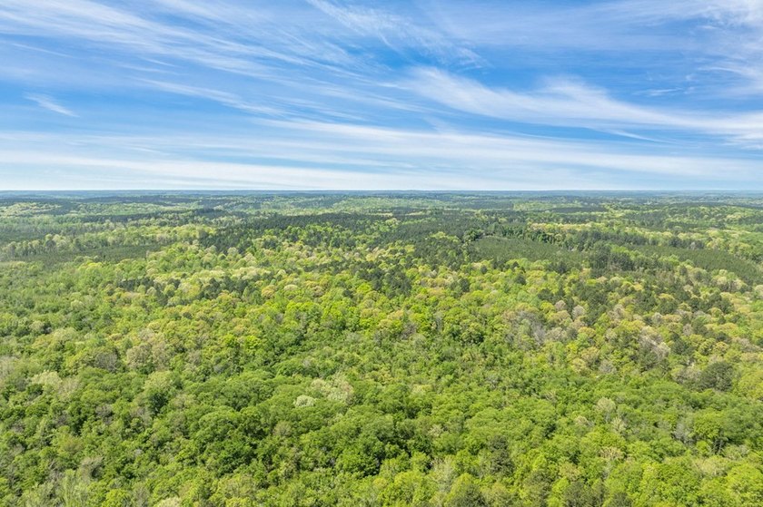 Discover the perfect blend of seclusion, natural beauty and - photo 18