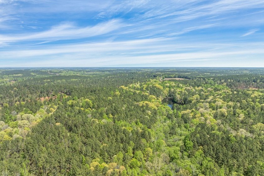 Discover the perfect blend of seclusion, natural beauty and - photo 19