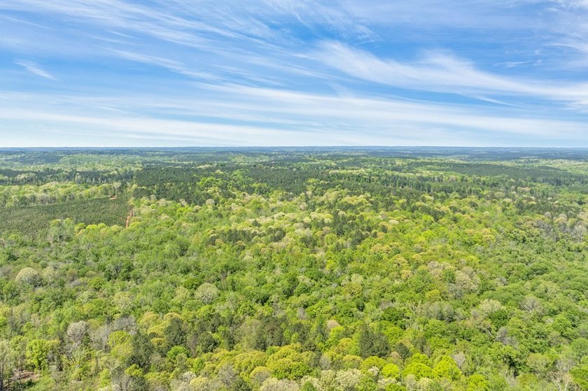 Discover the perfect blend of seclusion, natural beauty and - photo 20