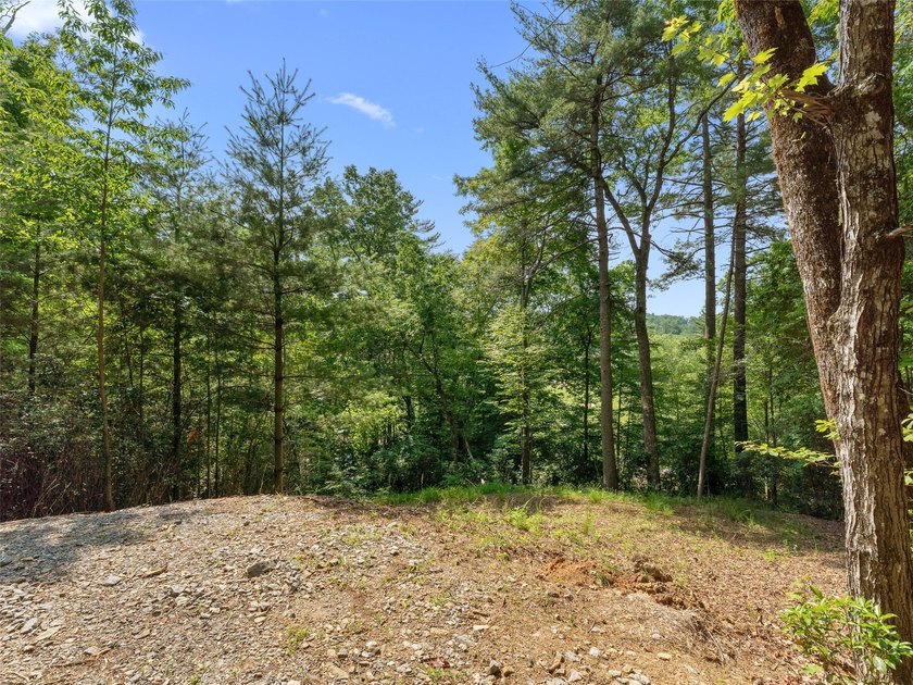 Two adjoining lake front lots on beautiful Lake Toxaway - photo 18