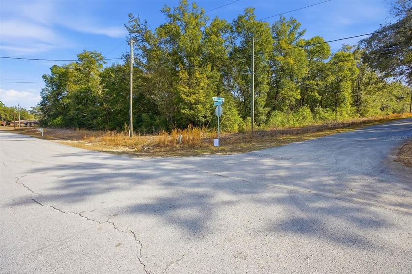 Exceptional opportunity to build a single-family residence on - photo 3