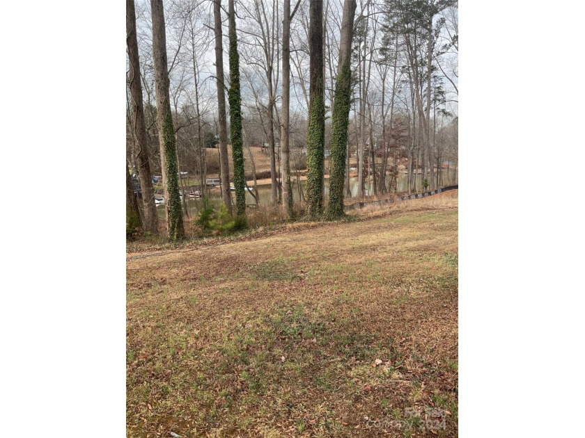 New offering of gated access waterfront cove lot on Lake Norman - photo 8