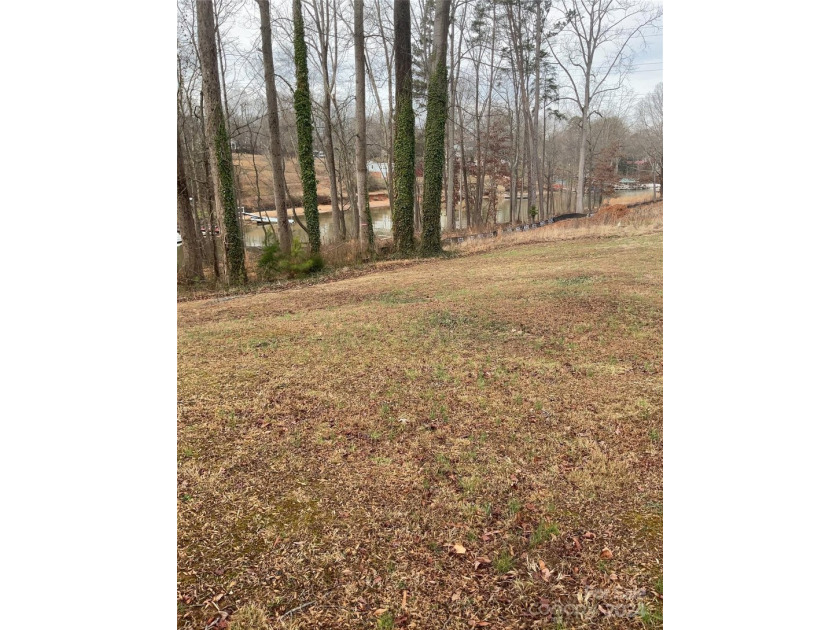 New offering of gated access waterfront cove lot on Lake Norman - photo 9