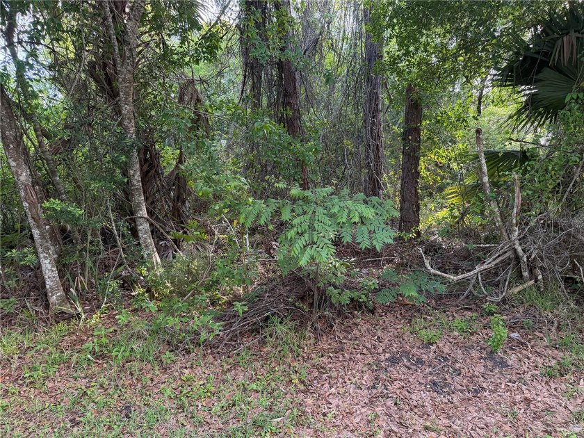 Don't miss this rare opportunity to own a premium, dry lot - photo 3