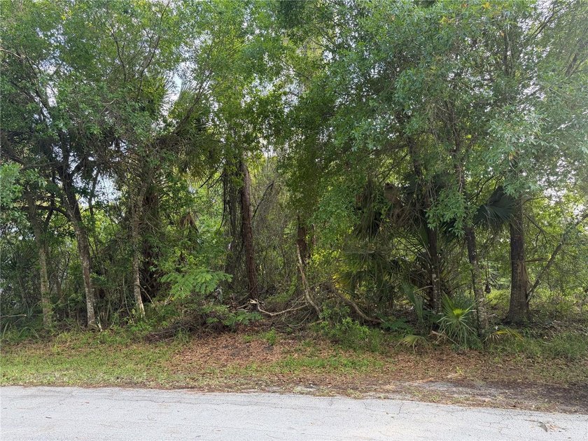 Don't miss this rare opportunity to own a premium, dry lot - photo 4