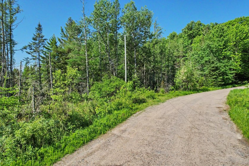 Peaceful Mill Lake Waterfront Lot - 2.24 Acres in Sugar Camp! - photo 3