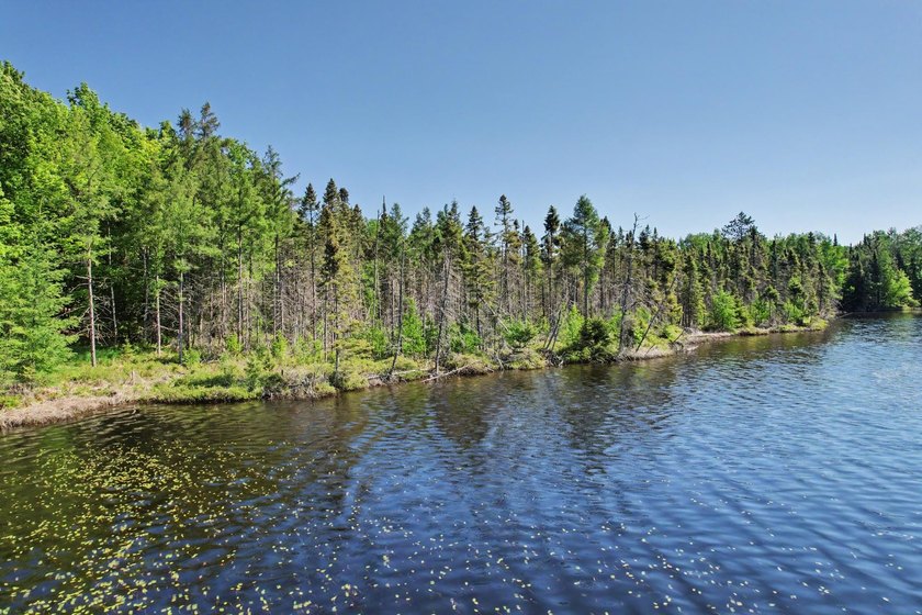 Peaceful Mill Lake Waterfront Lot - 2.24 Acres in Sugar Camp! - photo 4