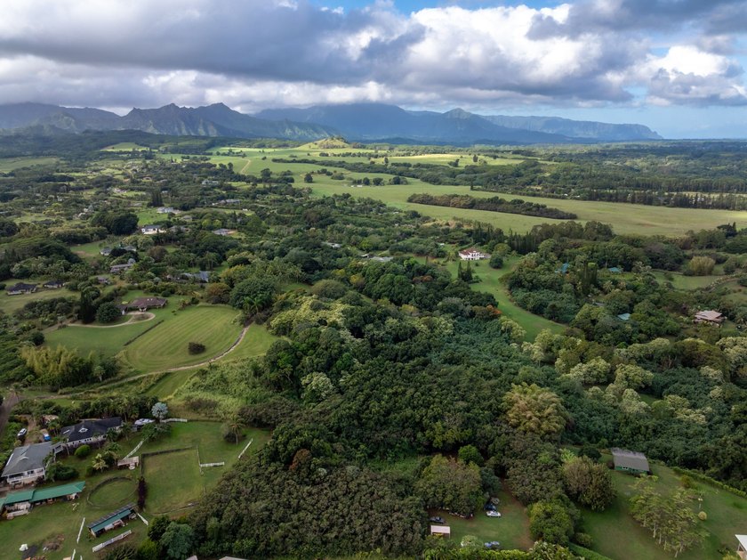New 5 acre CPR! Close to Beach. Enjoy the lush, tropical - photo 8