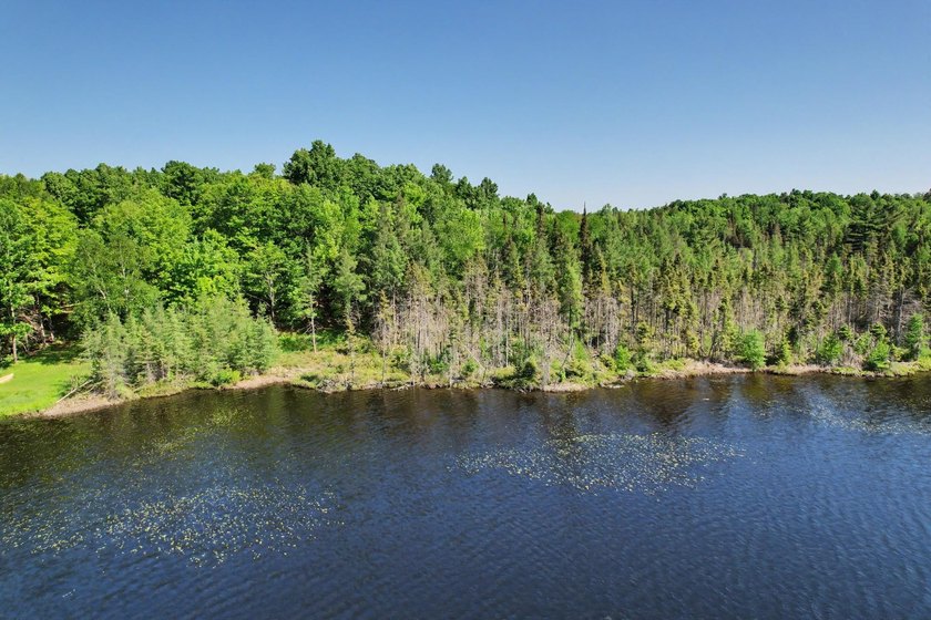 Peaceful Mill Lake Waterfront Lot - 2.24 Acres in Sugar Camp! - photo 9
