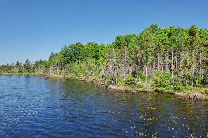 Peaceful Mill Lake Waterfront Lot - 2.24 Acres in Sugar Camp! - photo 10