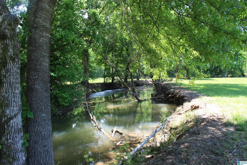 This estate truly embodies the essence of Alabama. Spanning over - photo 11