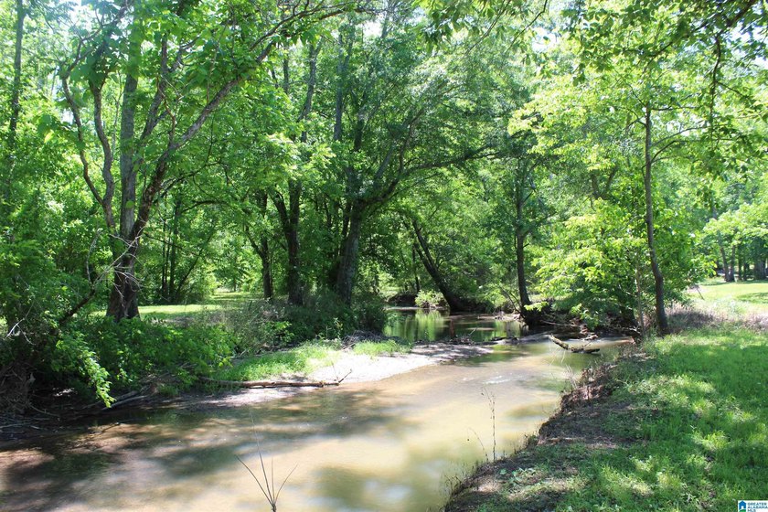 This estate truly embodies the essence of Alabama. Spanning over - photo 12