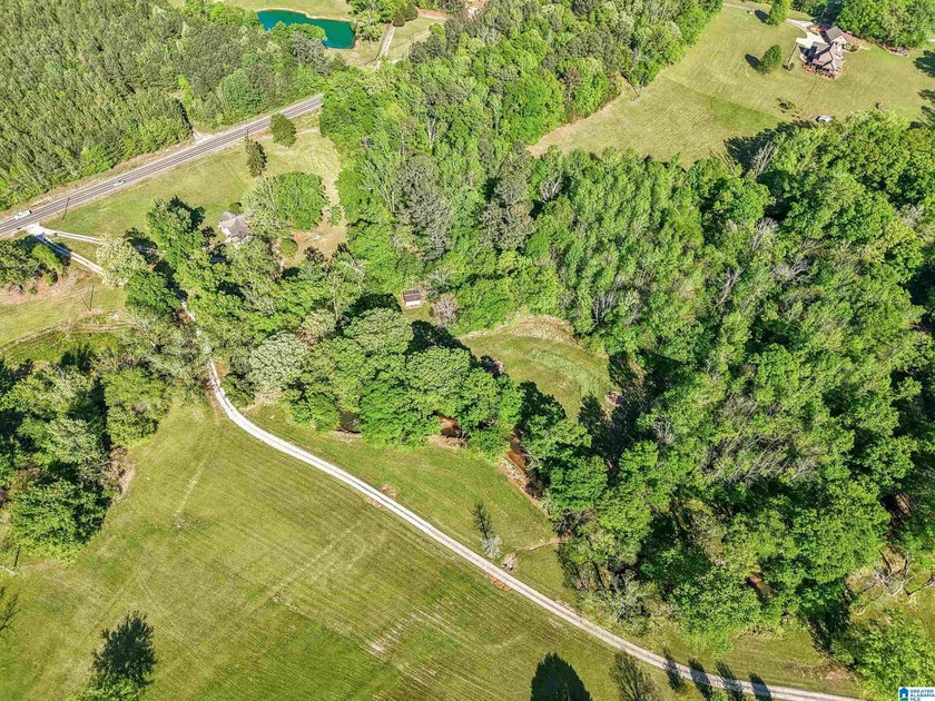 This estate truly embodies the essence of Alabama. Spanning over - photo 13
