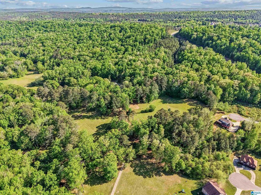 This estate truly embodies the essence of Alabama. Spanning over - photo 26
