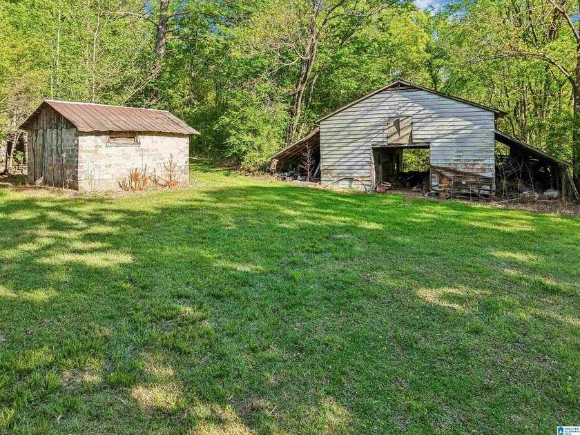 This estate truly embodies the essence of Alabama. Spanning over - photo 30