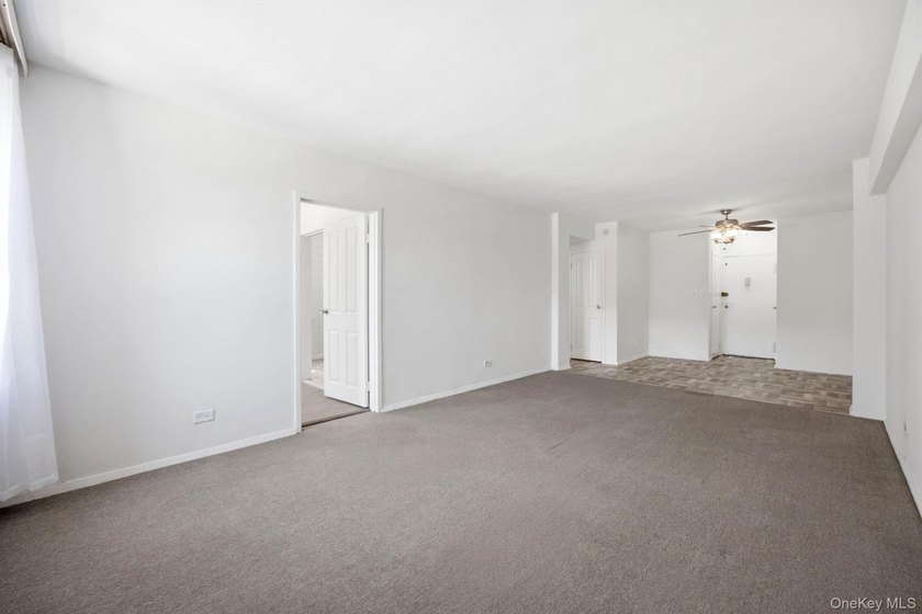 New to Market at 800 Grand Concourse! A bright, south-facing - photo 3