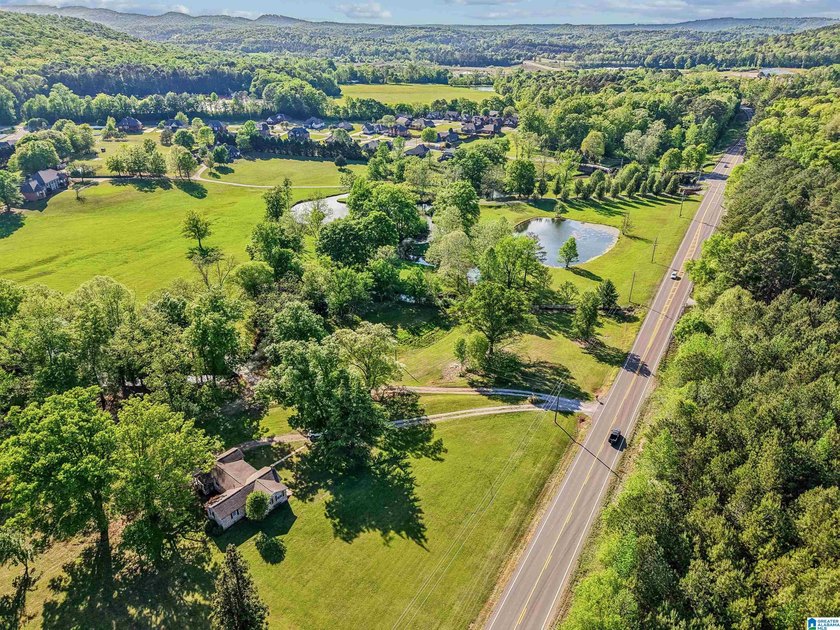 This estate truly embodies the essence of Alabama. Spanning over - photo 37
