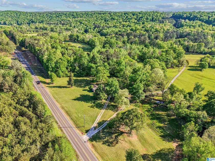This estate truly embodies the essence of Alabama. Spanning over - photo 38