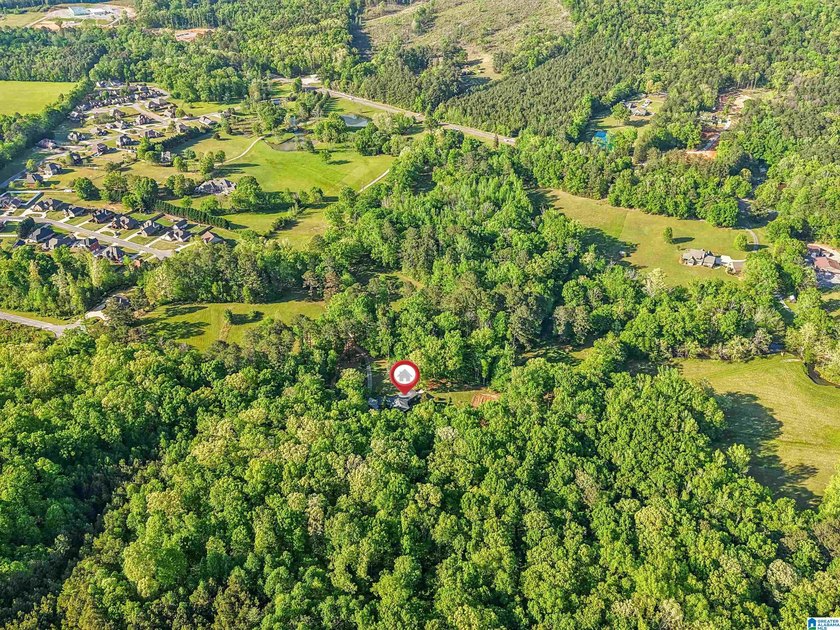 This estate truly embodies the essence of Alabama. Spanning over - photo 41