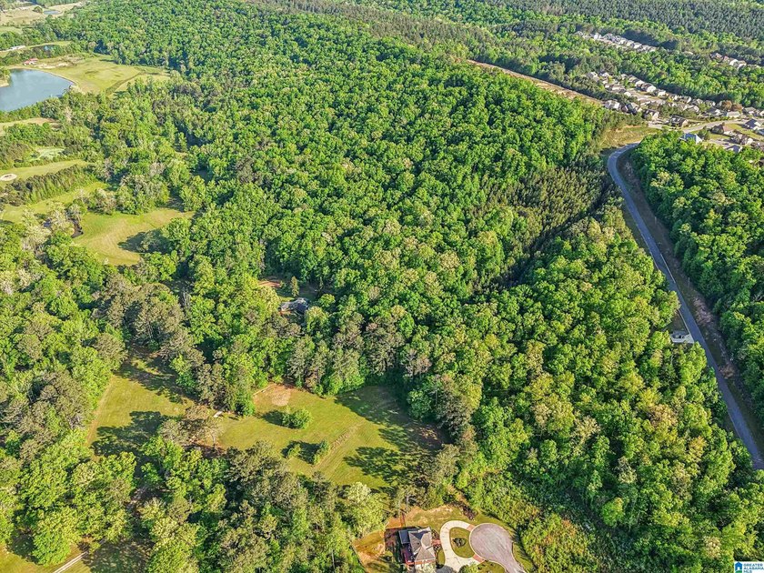This estate truly embodies the essence of Alabama. Spanning over - photo 42