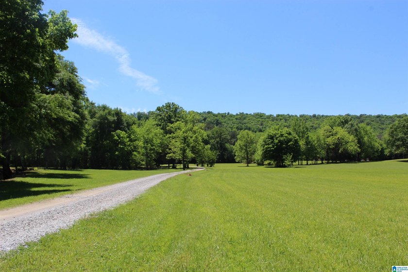 This estate truly embodies the essence of Alabama. Spanning over - photo 44