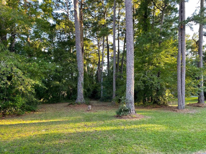 This rare lot offers the perfect setting to build your dream - photo 3