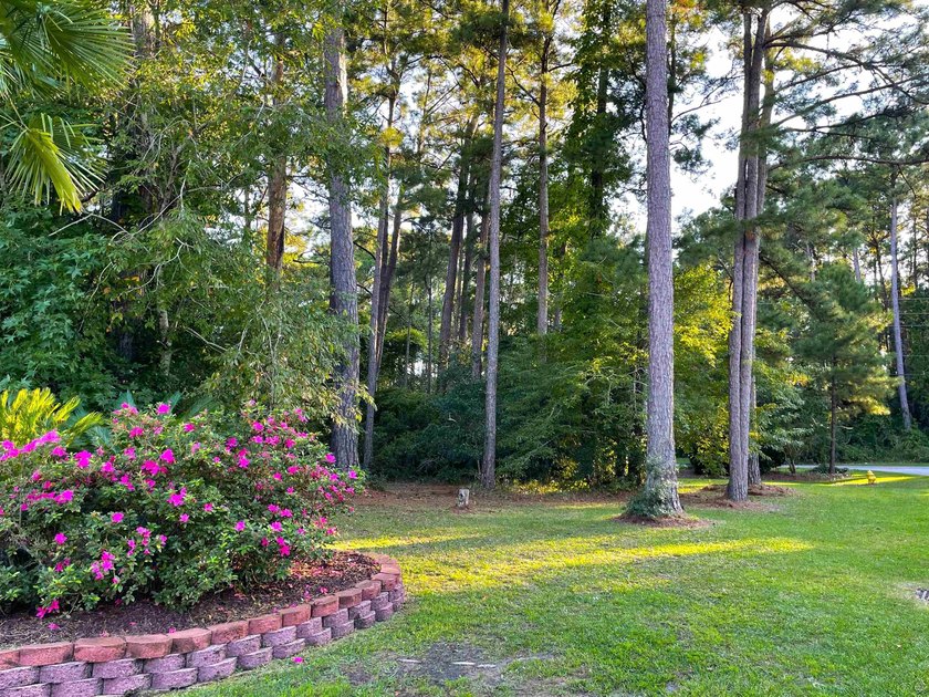 This rare lot offers the perfect setting to build your dream - photo 4