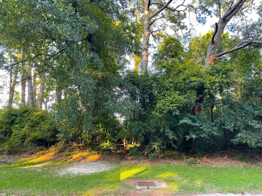 This rare lot offers the perfect setting to build your dream - photo 6