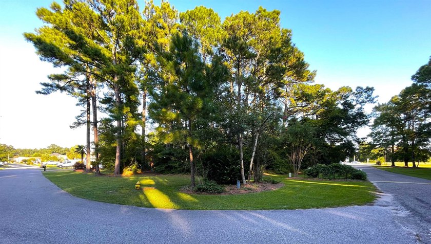 This rare lot offers the perfect setting to build your dream - photo 7