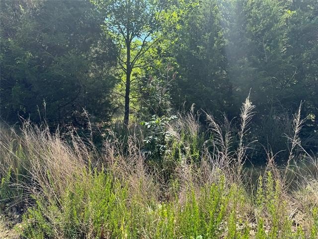 Escape to Belle Starr Forest #2! This premium, undeveloped - photo 3