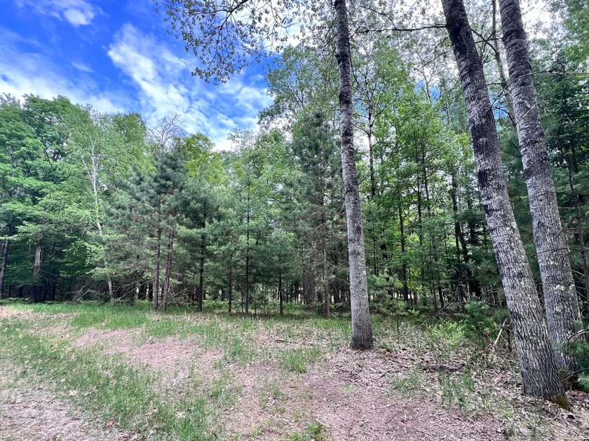 2.16 Acre Build-Ready Lot near Eagle River! Tucked away in a - photo 2