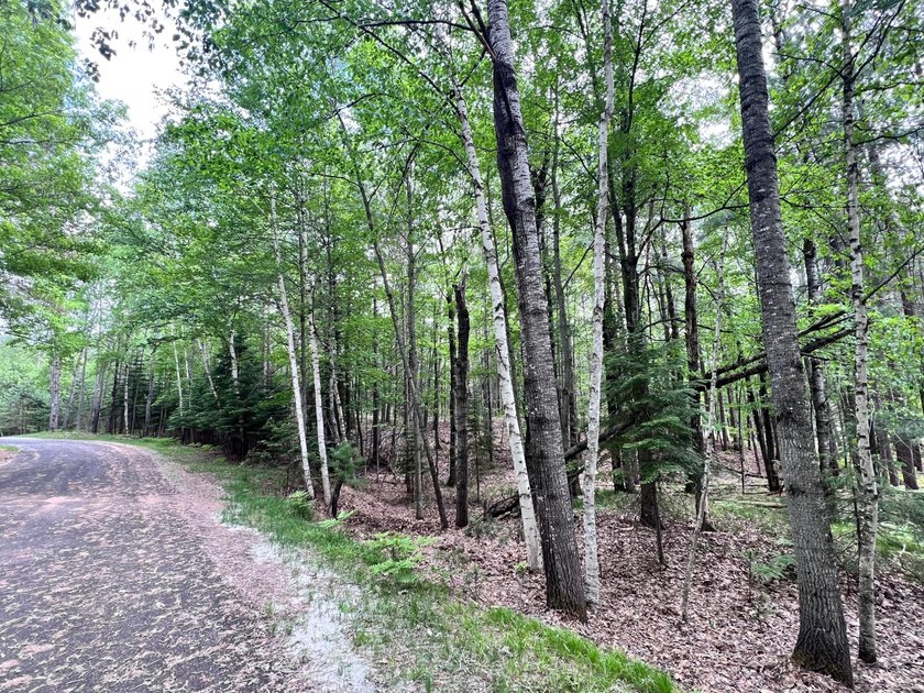 2.16 Acre Build-Ready Lot near Eagle River! Tucked away in a - photo 6