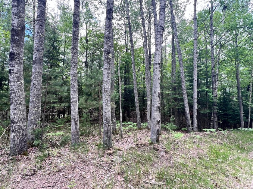 2.16 Acre Build-Ready Lot near Eagle River! Tucked away in a - photo 8