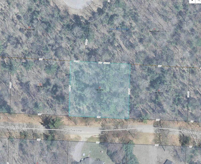 Half an Acre Lot near Eagle River! Tucked away in a peaceful - photo 2