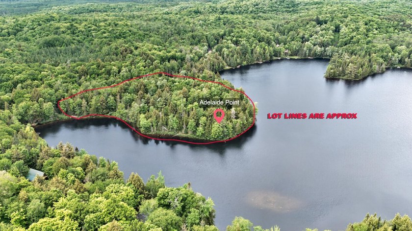 An exceptional opportunity to own five contiguous waterfront - photo 3