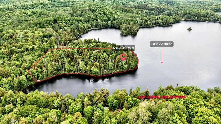 An exceptional opportunity to own five contiguous waterfront - photo 8